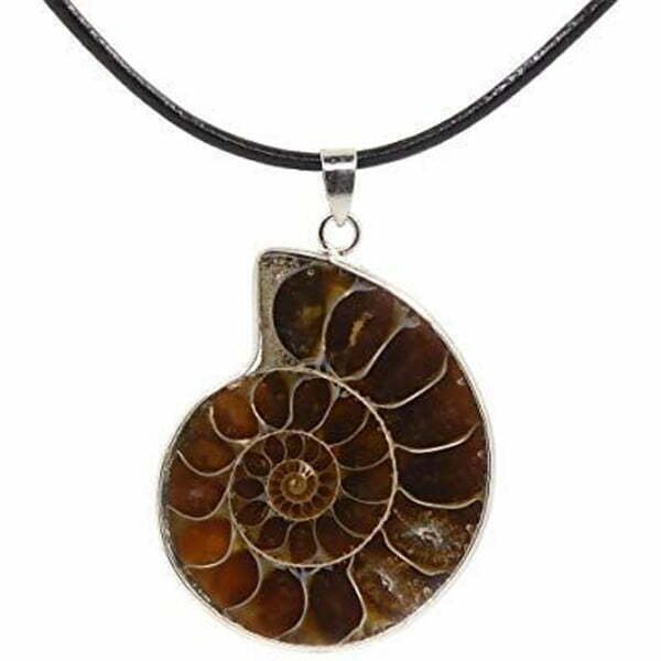 Ammonite Pendant