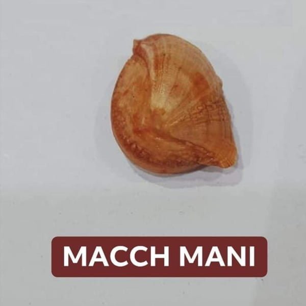 Brown Machha Mani